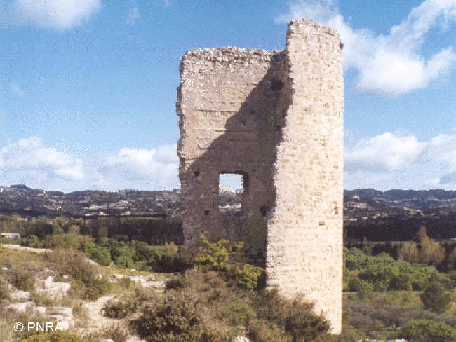 Visite pédestre commentée aux tours de Castillon