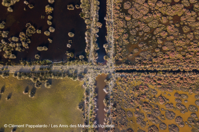 La Camargue © Clément Pappalardo / Les Amis des Marais du Vigueirat