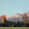 Sortie nature Alpilles - Les Alpilles - Parc naturel régional des Alpilles