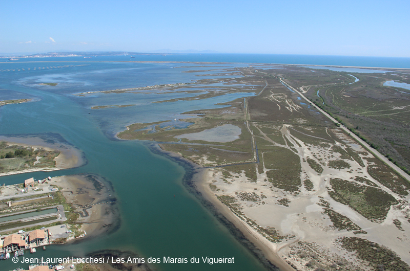 Delta du Rhône - Visite du delta du Rhône