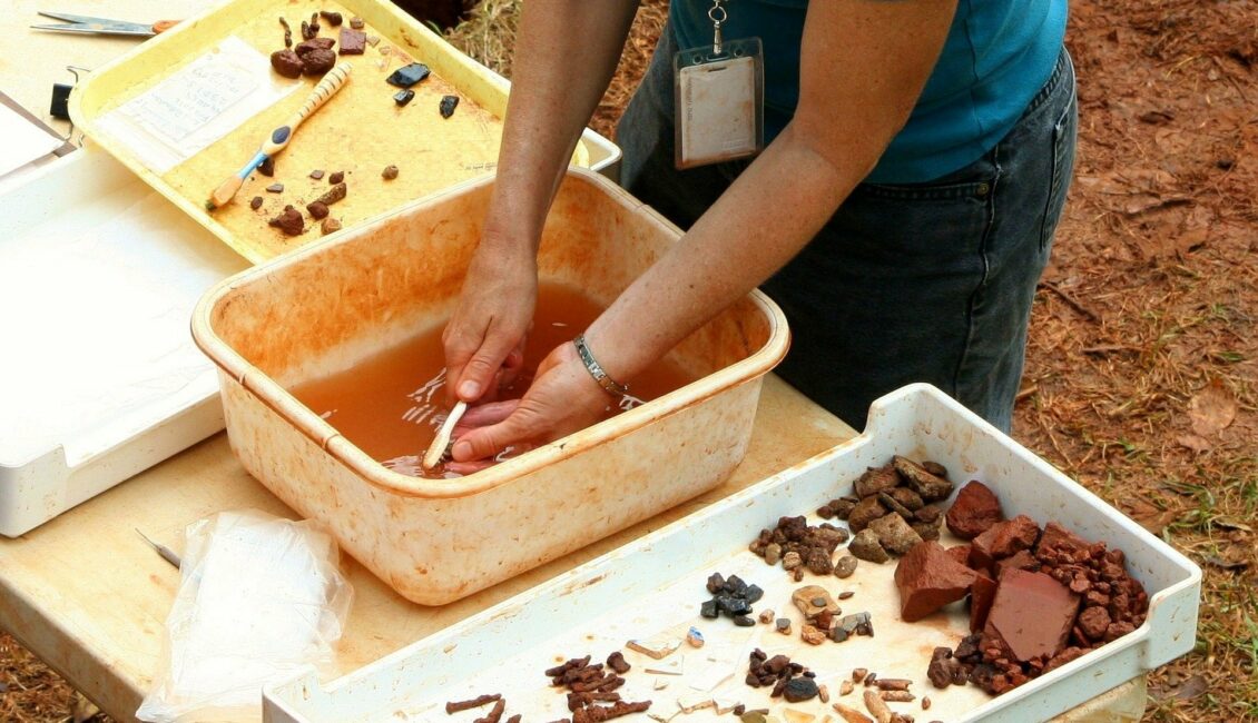 Atelier d'initiation au dégagement de fossiles