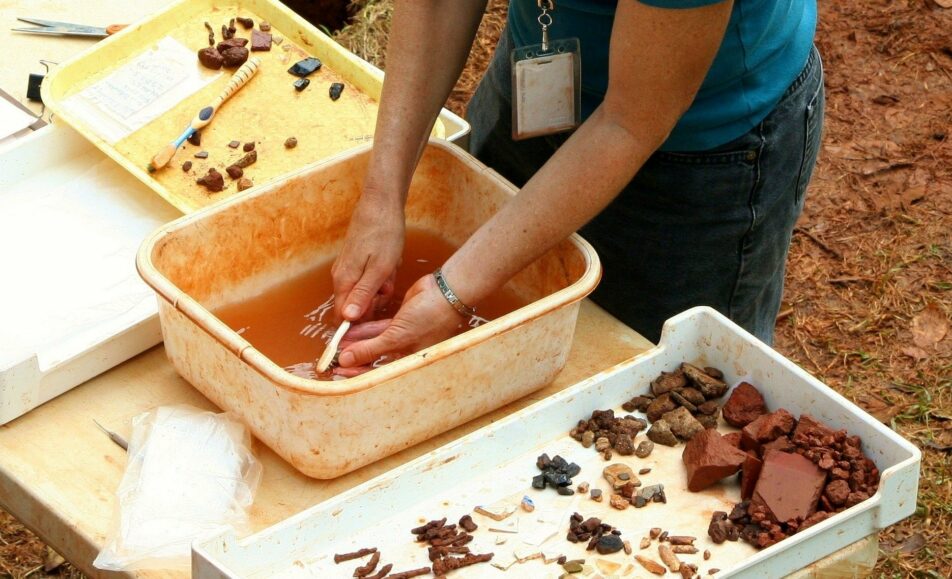 Atelier d'initiation au dégagement de fossiles