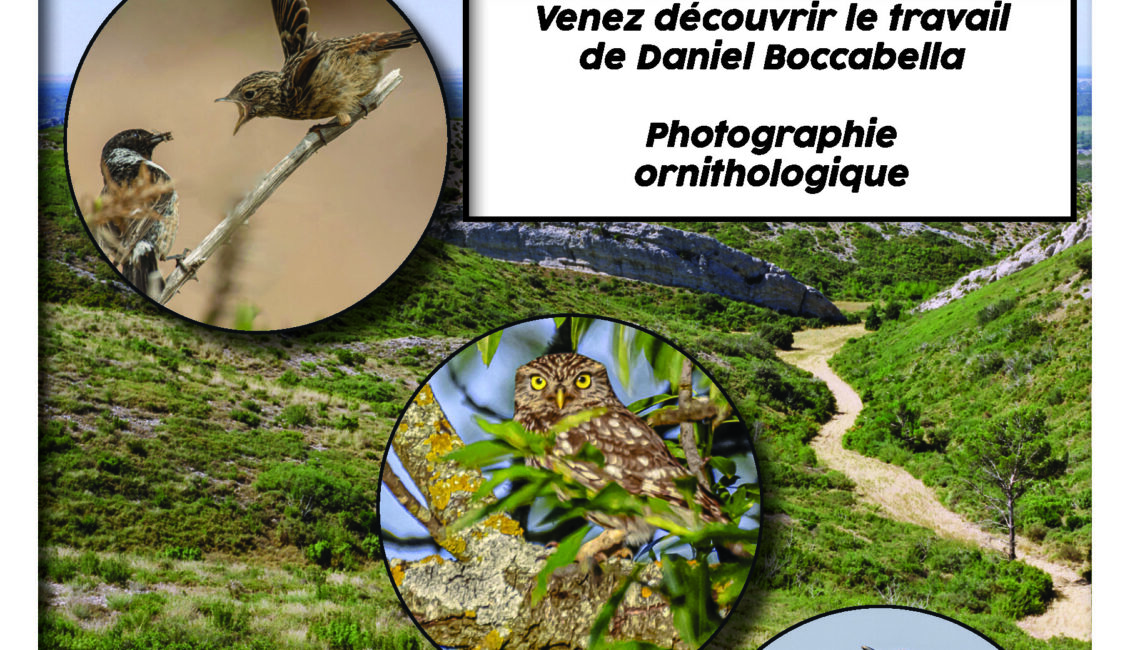 Exposition ornithologique