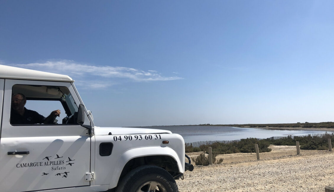 Découverte de la Camargue en 4X4 avec Camargue Alpilles  Safari