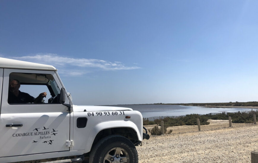 Découverte de la Camargue en 4X4 avec Camargue Alpilles  Safari