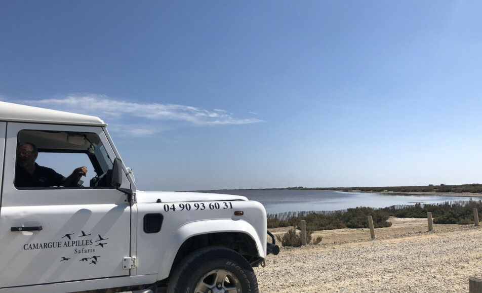 Découverte de la Camargue en 4X4 avec Camargue Alpilles  Safari