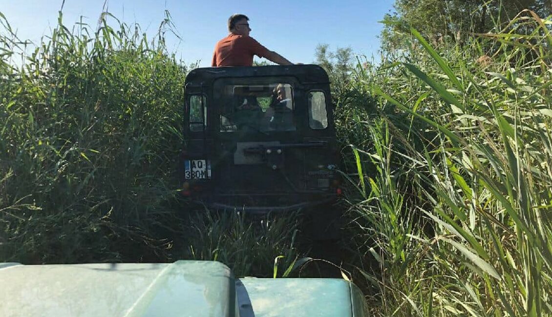 Visite de la Camargue en 4X4