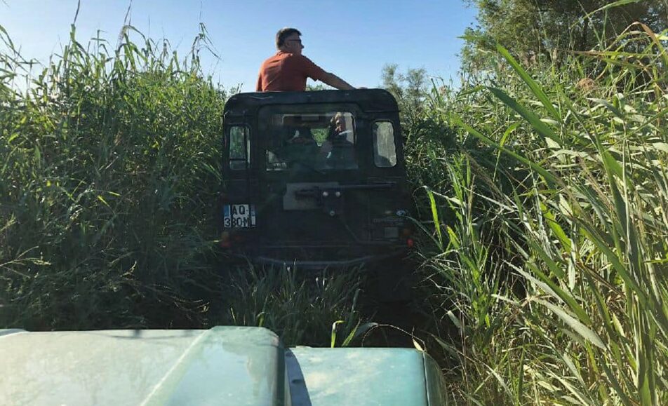 Visite de la Camargue en 4X4