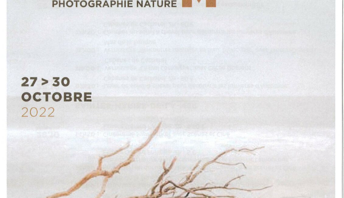 Rendez-vous Automne Photographie Nature