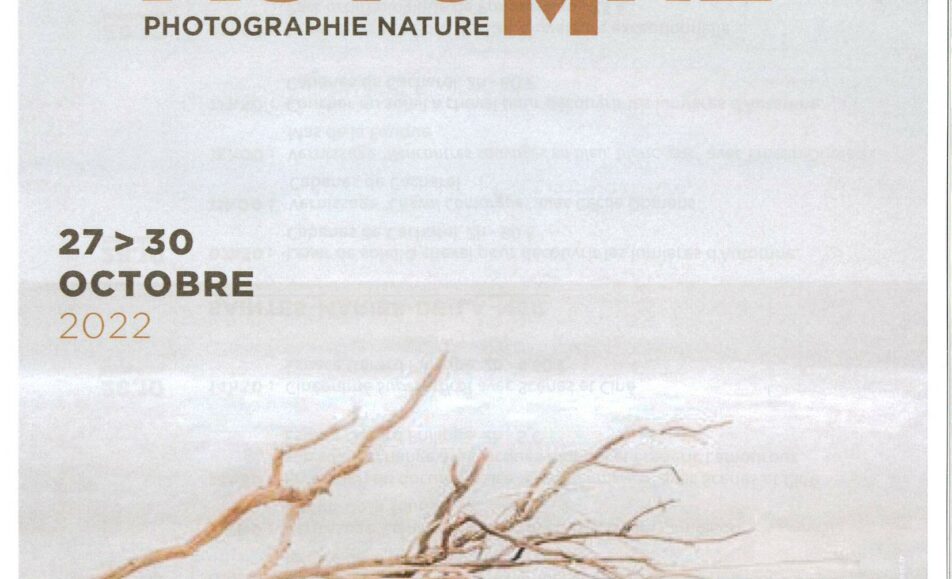 Rendez-vous Automne Photographie Nature