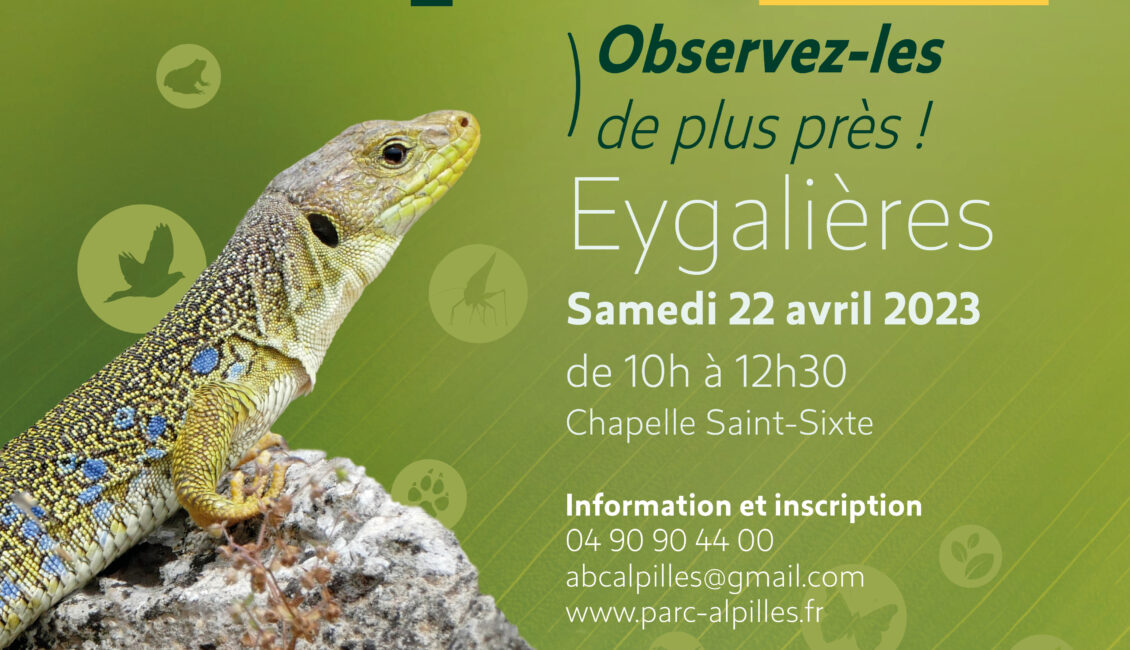 Atlas de la Biodiversité Communale - Reptiles