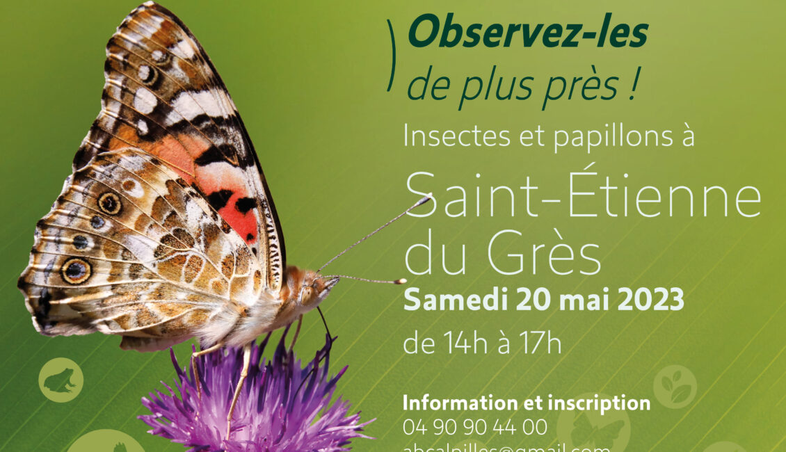 Atlas de la Biodiversité Communale - Insectes et papillons