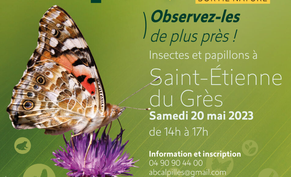 Atlas de la Biodiversité Communale - Insectes et papillons