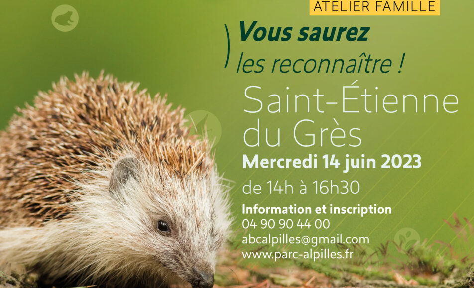Atlas de la Biodiversité Communale - Atelier Famille : Mission hérisson