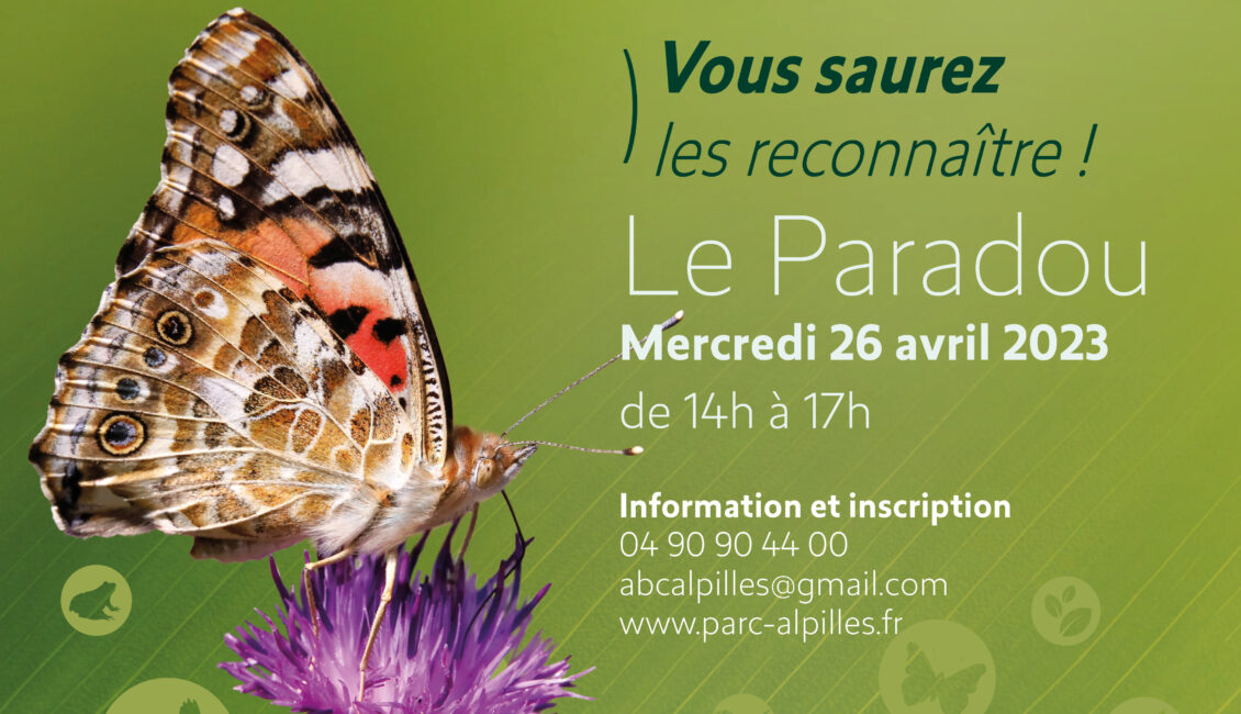 Atlas de la Biodiversité Communale - Atelier Famille : Les papillons des Alpilles