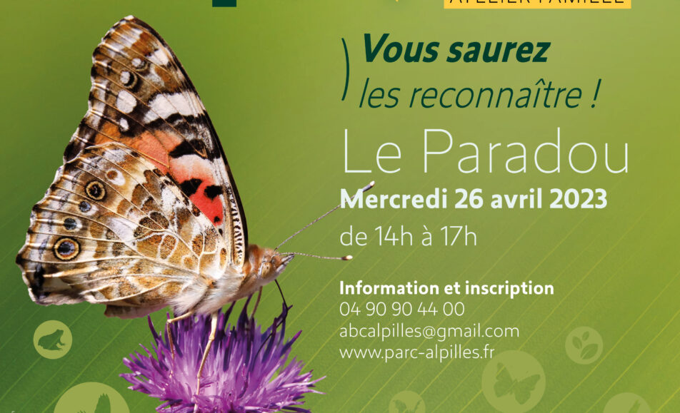 Atlas de la Biodiversité Communale - Atelier Famille : Les papillons des Alpilles