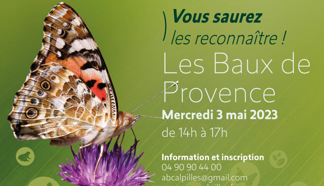 Atlas de la Biodiversité Communale - Atelier Famille : Les papillons des Alpilles