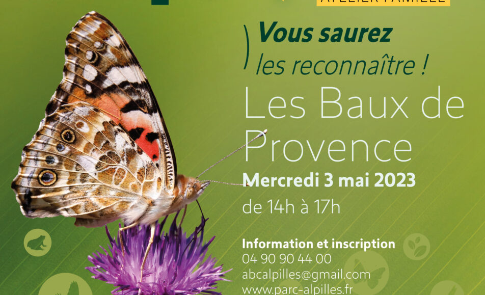 Atlas de la Biodiversité Communale - Atelier Famille : Les papillons des Alpilles