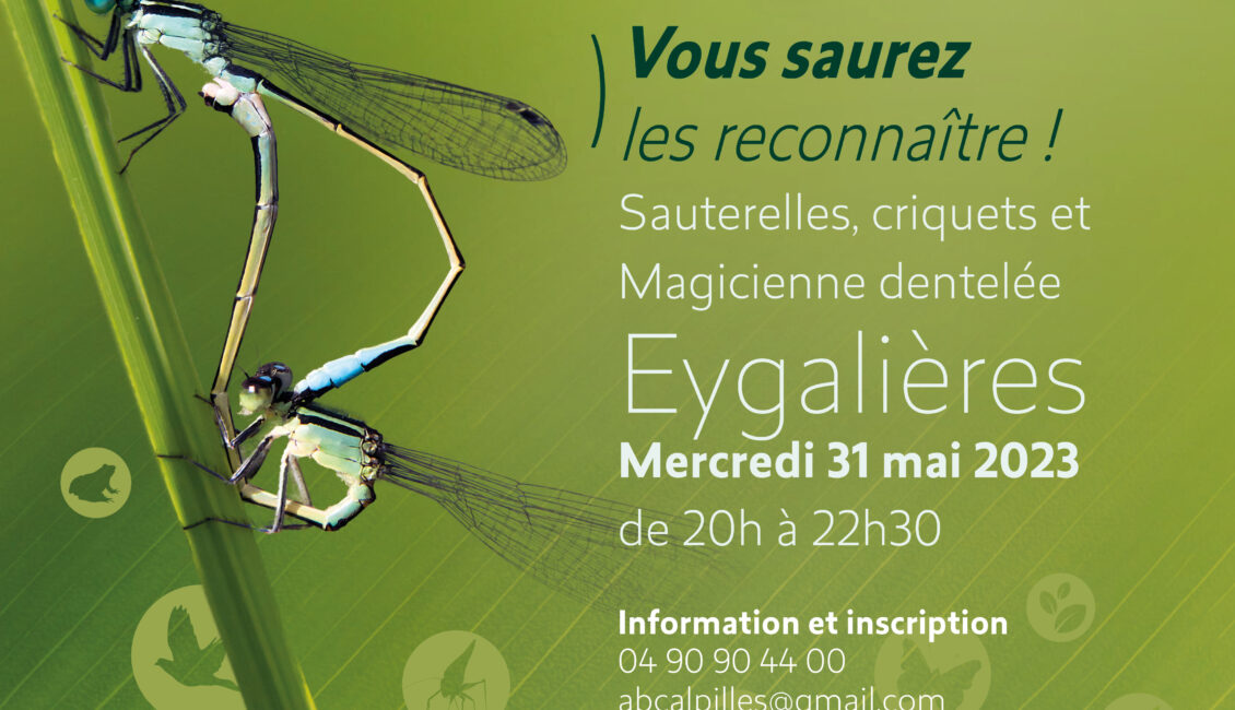 Atlas de la Biodiversité Communale - Atelier Famille : Criquets