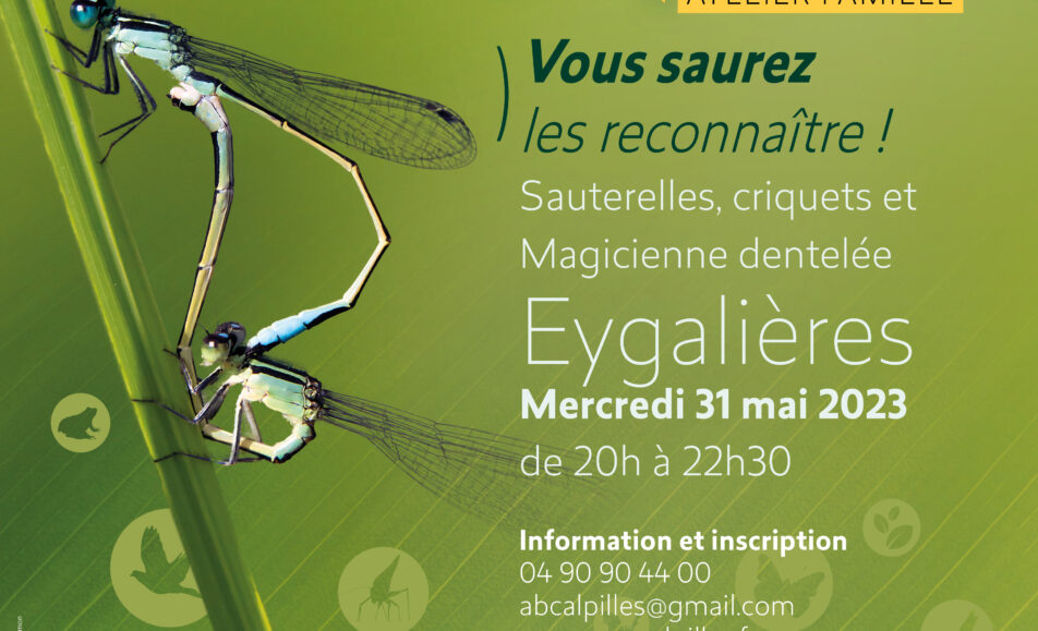 Atlas de la Biodiversité Communale - Atelier Famille : Criquets