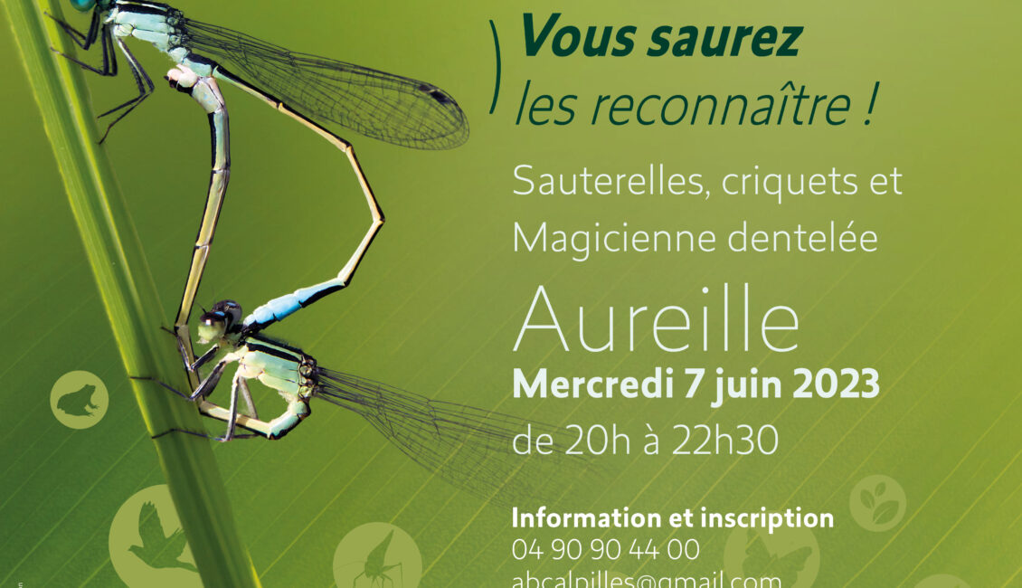 Atlas de la Biodiversité Communale - Atelier Famille : Criquets