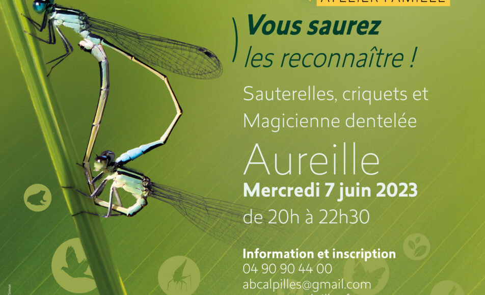 Atlas de la Biodiversité Communale - Atelier Famille : Criquets