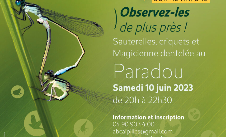 Atlas de la Biodiversité Communale - Sortie nature Sauterelles