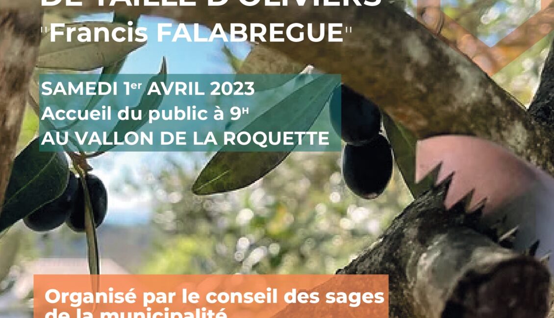 Concours de taille d'oliviers