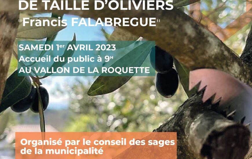 Concours de taille d'oliviers