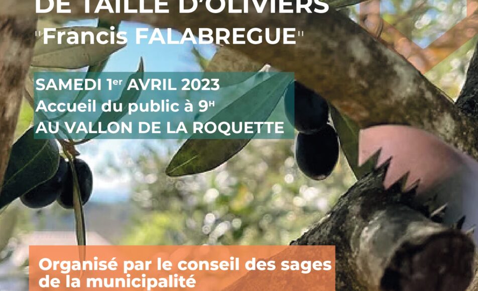 Concours de taille d'oliviers