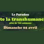 Fête de la Transhumance