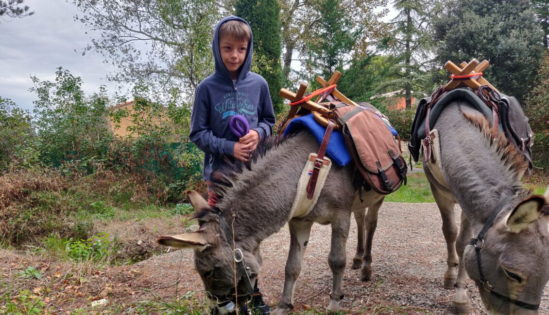 Balade aux pas de l'âne : Le sentier de la Pierre