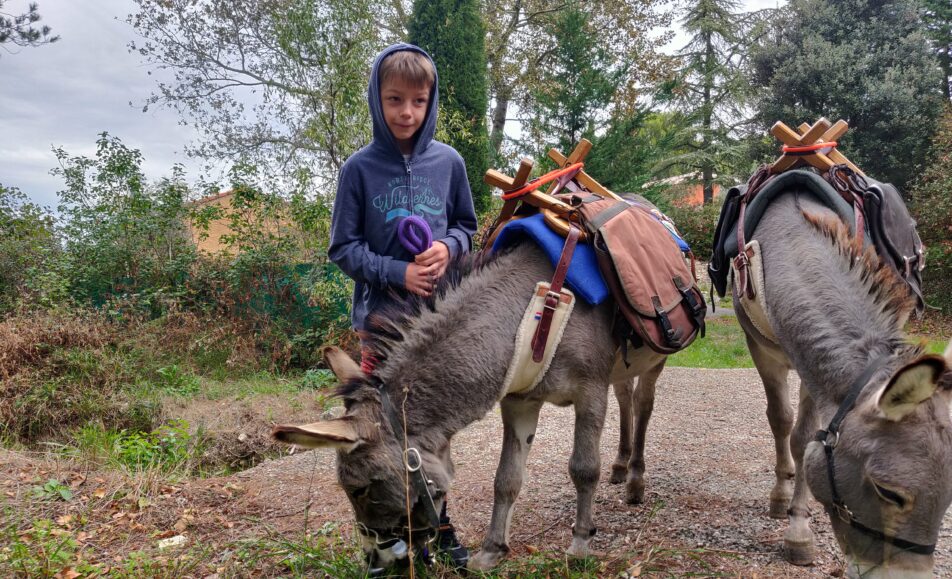 Balade aux pas de l'âne : Le sentier de la Pierre