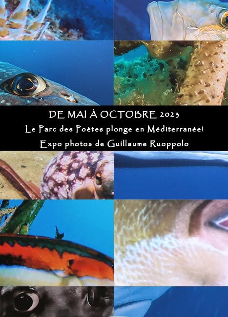 Exposition "Plongez en Méditerranée"