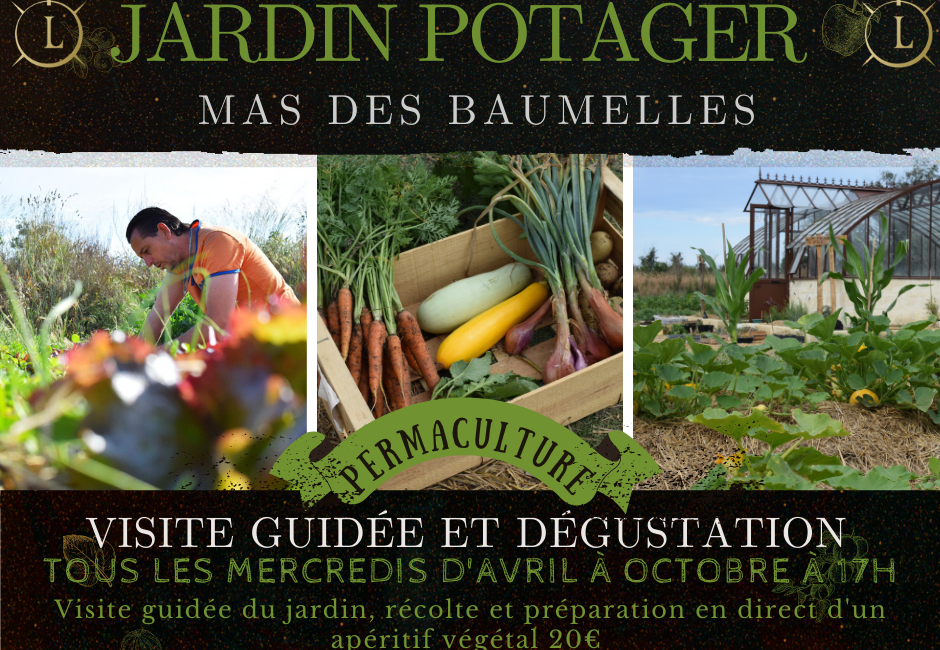 Nouveau Rendez-vous des Baumelles