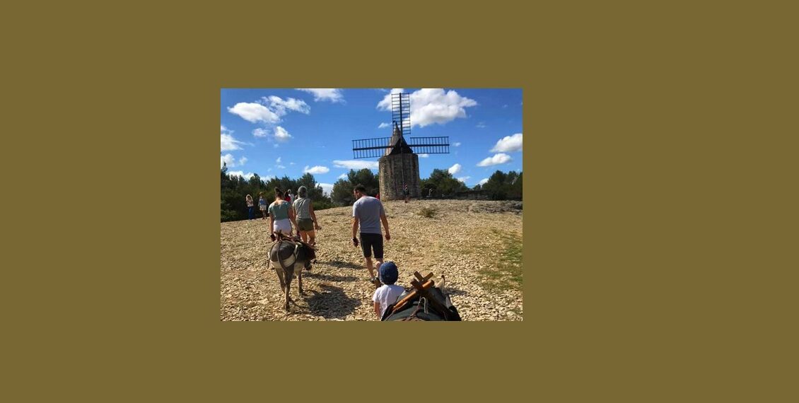 Les rendez vous du Parc des Alpilles - Balade au pas de l'âne sur le sentier des moulins