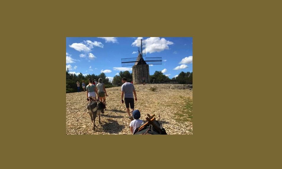 Les rendez vous du Parc des Alpilles - Balade au pas de l'âne sur le sentier des moulins
