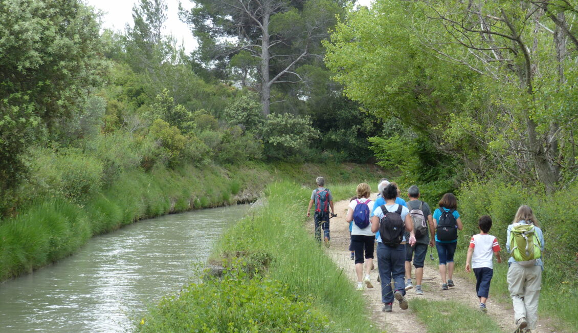 Sortie nature : Eau sauvage