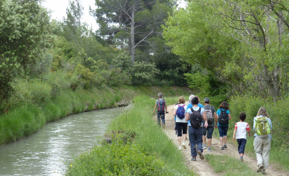 Sortie nature : Eau sauvage