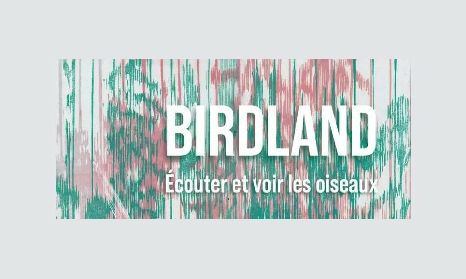 Exposition : Birdland I