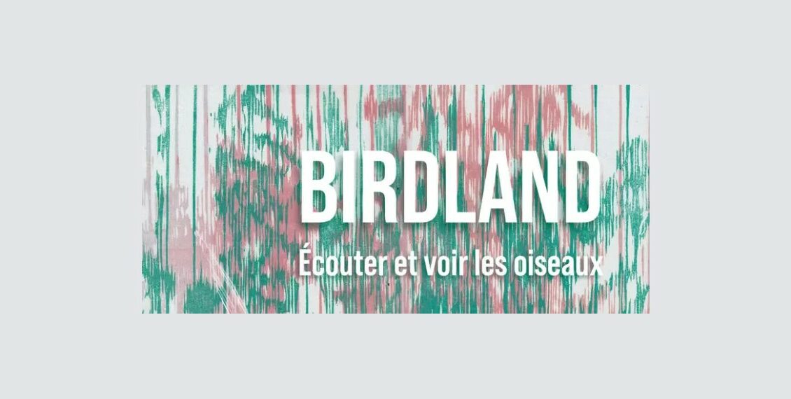 Exposition : Birdland II