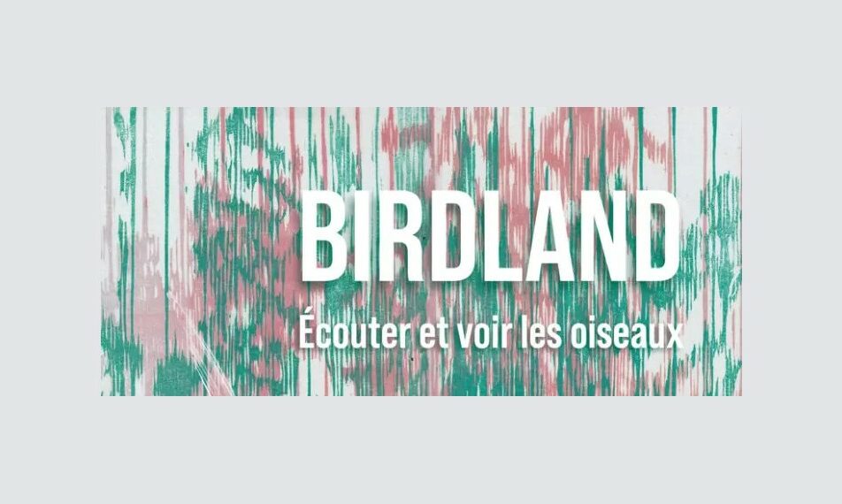 Exposition : Birdland II
