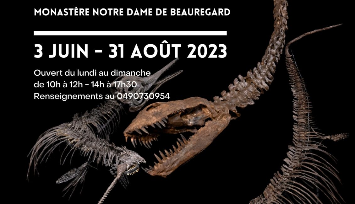 Exposition "La Provence au temps des monstres marins"
