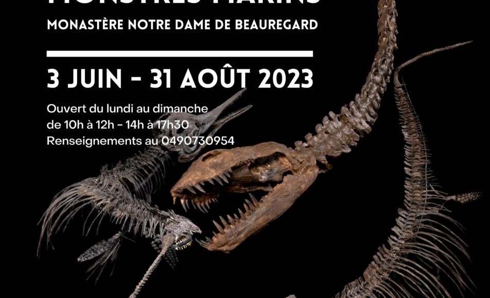 Exposition "La Provence au temps des monstres marins"