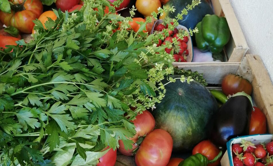 Atelier cuisine : Vos conserves de légumes BIO