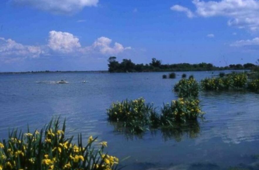 Fête de la nature 2026 : Visite guidée au domaine de la Palissade