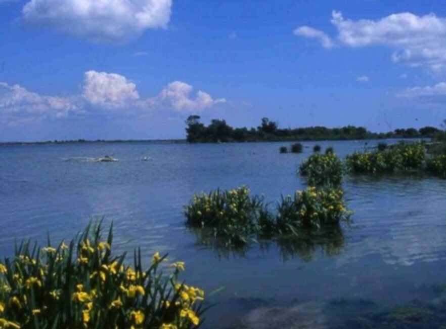 Fête de la nature 2026 : Visite guidée au domaine de la Palissade