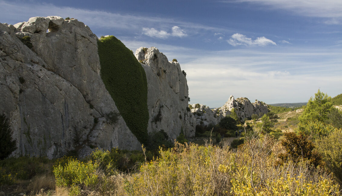 Sortie nature : Biodiversité aux Caisses de Jean-Jean