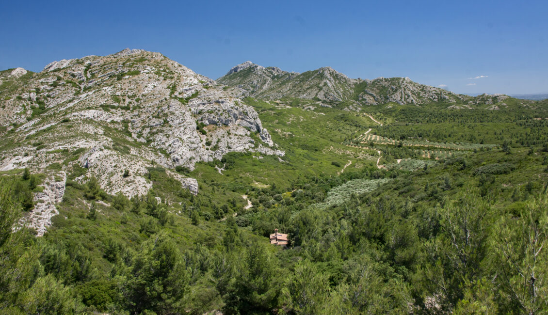 Sortie nature : Paysage des Alpilles qui es-tu ?