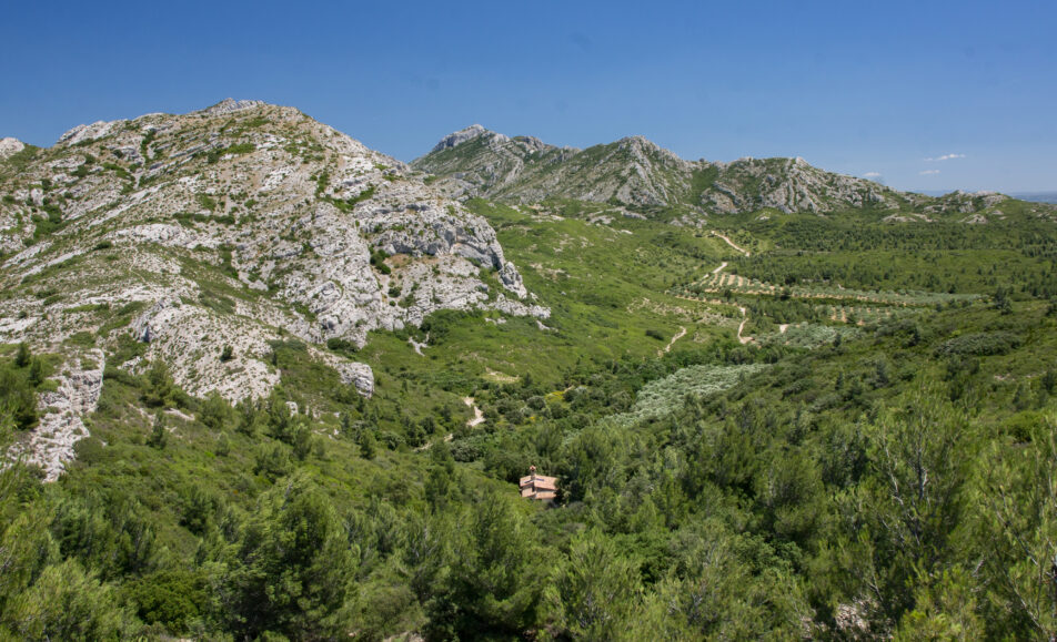 Sortie nature : Paysage des Alpilles qui es-tu ?